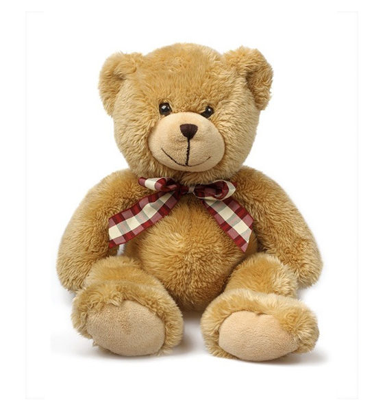 all color teddy bear