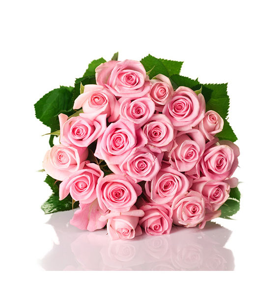 Send Flowers Online Cheap Kalpa Florist