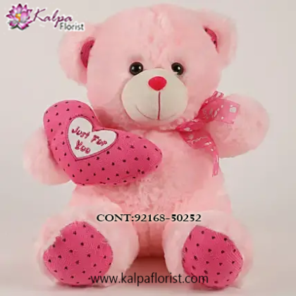 Online Teddy Bear Delivery in Jalandhar Punjab , Teddy Bear delivery in Jalandhar, Teddy bear Delivery in Jalandhar City, Buy Teddy Bear Online, Teddy bear Delivery to Jalandhar, Teddy Bear to Jalandhar,  Charming teddy bear to Jalandhar, Teddy bear Delivery in Jalandhar Same Day, Send Teddy bear Online with home Delivery, Same Day Online Teddy bear Delivery in Jalandhar, Online Teddy bear delivery in Jalandhar,  Midnight Teddy Bear delivery in Jalandhar,  Online shopping for Teddy Bear to Jalandhar Kalpa Florist