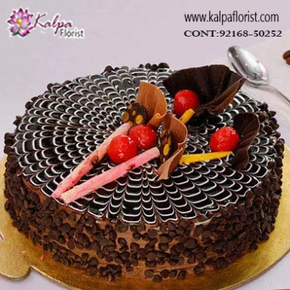 Online Cake Delivery in Delhi,  Cakes Delivery to Delhi,  Cakes to Delhi, Cakes to Delhi Online, Cakes online to Delhi, Cakes Delivery in Delhi Same Day,  Send Cakes Online with home Delivery, Same Day Online Cakes Delivery in Delhi,  Cakes wholesales in Delhi, Online shopping for  Cakes to Delhi in Kalpa Florist, online cake delivery in delhi, online delivery of cake in delhi, online cake delivery at delhi, online cake delivery in delhi laxmi nagar, cheapest online cake delivery in delhi, online cake delivery in delhi connaught place, online cake delivery in dwarka new delhi, red velvet cake online delivery in delhi, online cake delivery in delhi same day, online cake delivery in delhi tilak nagar, online cake delivery in delhi midnight, online cake delivery in east delhi, online anniversary cake delivery in delhi, online birthday cake delivery in delhi, buy online cake and gift delivery in delhi, online eggless cake delivery in delhi, monginis online cake delivery in delhi, online flowers and cake midnight delivery in delhi, online cake delivery in delhi at midnight, online cake delivery in delhi ncr, online cake delivery in delhi karol bagh, online cake delivery in delhi saket, online cake delivery in delhi dwarka mor, online cake delivery in delhi paschim vihar, online cake delivery in delhi palam, best online cake delivery in delhi, online birthday cake and flower delivery in delhi, online cake and flower delivery in delhi, online cake delivery in west delhi, online cake delivery in south delhi, best online cake & flowers delivery in delhi delhi, online cake and bouquet delivery in delhi,  best online birthday cake delivery in delhi ncr, online cake delivery in delhi today, online cake delivery in sarita vihar delhi, online cake delivery in delhi dwarka, online cake delivery in delhi rohini, online photo cake delivery in delhi, online birthday cake delivery in south delhi, online designer cake delivery in delhi, best online cake delivery in delhi ncr, online fruit cake delivery in delhi, online cake and flower delivery in delhi ncr, online cake delivery in lajpat nagar delhi, online cake delivery in delhi pitampura, online cake delivery in model town delhi cake delivery in india, cake delivery to india, cake delivery in india online, cake delivery in indianapolis, flowers and cake delivery in india, cake and flower delivery in india, cake delivery in india hyderabad, birthday cake delivery in india, online birthday cake delivery in india, how to send cake in india, online cake delivery to usa from india, cake delivery in patna india, online cake delivery sites in india, best online cake delivery sites in india, online cake delivery in india same day, online cake delivery in ludhiana, best cake delivery app in india, cake delivery in bangalore india, midnight cake delivery in india, cake delivery in indore india, cake delivery in kuwait from india, eggless cake delivery in india, cake delivery app in india, cake delivery in nagpur india, cake delivery in surat india, online flower and cake delivery in india, online cake delivery in india from usa, cake delivery in lucknow india, does monginis do home delivery, online cake delivery anywhere in india, birthday cake delivery in hyderabad india, online cake delivery in india hyderabad