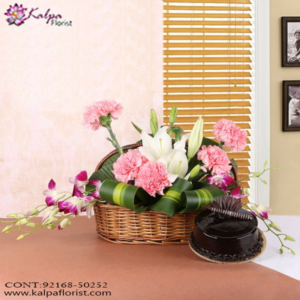 Flowers, Cake & Gifts - Delhi, Combo Gifts Delivery, Combo Online, Send Combo Gifts India, Buy Combo Gifts Online, Buy/Send Online All Combo Gifts, Send Combos gifts Online with home Delivery, Gifts Combos Online, Send Combos Birthday Gifts Online Delivery, Birthday Gifts, Online Gift Delivery, Buy Combo Gifts for Birthday Online, Gift Combos For Her, Gift Combo for Him, Kalpa Floris