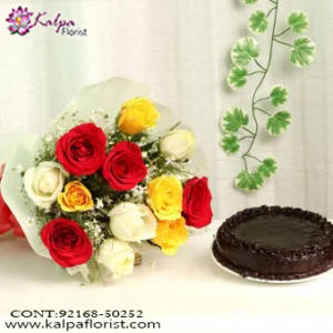 Gift Delivery Kapurthala, Buy Combo Gifts Online, Combo Online, Send Combo Gifts India , Combo Gifts Delivery, Buy Combo Gifts Online, Buy/Send Online All Combo Gifts, Send Combos gifts Online with home Delivery, Gifts Combos Online, Send Combos Birthday Gifts Online Delivery, Birthday Gifts, Online Gift Delivery, Buy Combo Gifts for Birthday Online, Gift Combos For Her, Gift Combo for Him, Kalpa Florist