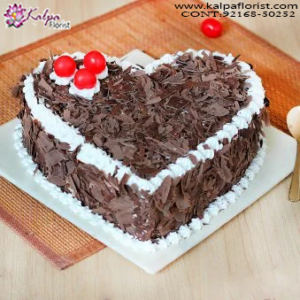Happy Birthday Celebration Cake, Online Cake Delivery, Order Cake Online, Send Cakes to Punjab, Online Cake Delivery in Punjab, Online Cake Order, Cake Online, Online Cake Delivery in India, Online Cake Delivery Near Me, Online Birthday Cake Delivery in Bangalore, Send Cakes Online with home Delivery, Online Cake Delivery India, Online shopping for Cakes to Jalandhar, Order Birthday Cakes, Order Delicious Cakes Home Delivery Online, Buy and Send Cakes to India, Kalpa Florist.