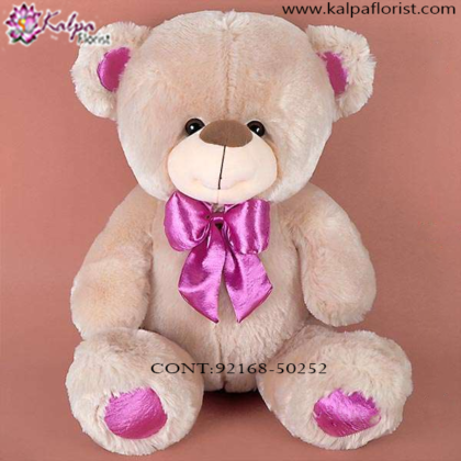 Send Teddy Bear Online Delhi,  Send Gifts to Mumbai Online , Teddy Bear Online Purchase, Teddy Bear Online Booking, Buy Teddy Bear Online, Teddy Bear Online in India, Teddy Bear Online Australia, Teddy Bear Online South Africa, Send Teddy bear Online with home Delivery, Same Day Online Teddy bear Delivery in Jalandhar, Online Teddy bear delivery in Jalandhar,  Midnight Teddy Bear delivery in Jalandhar,  Online shopping for Teddy Bear to Jalandhar, Kalpa Florist