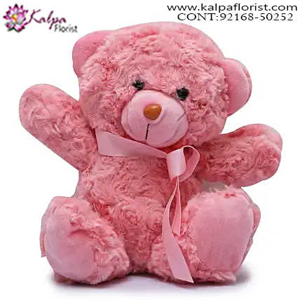 online big teddy bear delivery