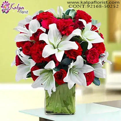 Flower Delivery in Chandigarh, Online Flower Delivery in Bangalore, Cheap Online Flower Delivery in Bangalore, Send Flowers Online Cheap, Send Flowers Online Same Day, Online Bouquet Delivery Chandigarh, Send Flowers Online India, Send Flowers Online Near Me, Send Flowers Online Uk, Order Flowers Online in Chandigarh, Send Flowers Online Australia, Send Flowers to Chandigarh Online, Online Flower Delivery Chandigarh, Online Bouquet Delivery in Chandigarh, Online Delivery of Flowers in Chandigarh, Send Flowers Online Abroad, Kalpa Florist.