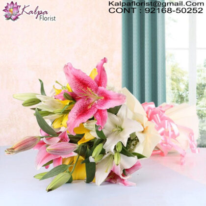 Send Online Flowers in Delhi, Online Flower Delivery in Bangalore, Cheap Online Flower Delivery in Bangalore, Send Flowers Online Cheap, Send Flowers Online Same Day, Online Bouquet Delivery Chandigarh, Send Flowers Online India, Send Flowers Online Near Me, Send Flowers Online Uk, Order Flowers Online in Chandigarh, Send Flowers Online Australia, Send Flowers to Chandigarh Online, Online Flower Delivery Chandigarh, Online Bouquet Delivery in Chandigarh, Online Delivery of Flowers in Chandigarh, Send Flowers Online Abroad, Kalpa Florist.