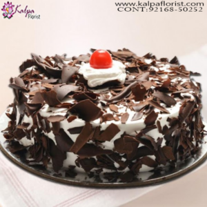 Send a Birthday Cake Online, Cakes In Chandigarh Online, Best Cakes In Chandigarh, Designer Cakes In Chandigarh, Cakes Delivery In Chandigarh, Theme Cakes In Chandigarh, Birthday Cakes In Chandigarh, Cake Online, Wedding Anniversary Cakes In Chandigarh, Online Cake Delivery Near Me, Barbie Cakes In Chandigarh, Send Cakes Online with home Delivery, Online Cake Delivery India, Online shopping for Cakes, Order Birthday Cakes, Order Cakes Online In Chandigarh, Birthday Cakes Online In Chandigarh, Best Birthday Cakes in Chandigarh, Online Cakes Delivery In Chandigarh, Kalpa Florist.