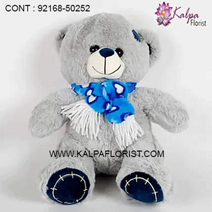 Buy Teddy bear soft toy happy birthday message card for sister online at a discounted price from Kalpa Florist Shop Toys, Baby & Kids, Toys Lowest Prices. Shop now!