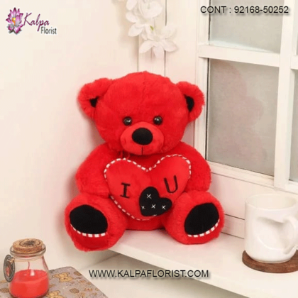 teddy bear at lowest price, teddy bear at low price, teddy bear at low price online, teddy bear at cheapest price, big teddy bear at low price, teddy bear lowest price in india, 3 feet teddy bear at low price, 4 feet teddy bear at low price, 6 feet teddy bear at low price, 5 feet teddy bear at low price, buy teddy bears near me, buy teddy bear near me, buy teddy bear online, buy teddy bear online australia, bulk buy teddy bears australia, buy teddy bear for girlfriend, buy teddy bear for, buy teddy bear india, India, Canada, United States, Australia, United Kingdom, New Zealand, United Arab Emirates, Indonesia, Norway Germany, kalpa florist