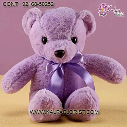 Online Delivery Teddy Bear and Gifts store giving you a choice of wide variety of Teddy bear and other gifts. for more details call us.