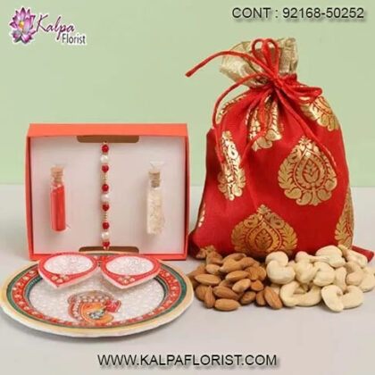 rakhi gifts for sister in law, best rakhi gift for sister in law, gift ideas for sister in law on rakhi, rakhi gift ideas for sister in law gifts for sister in law on rakhi, kalpa florist