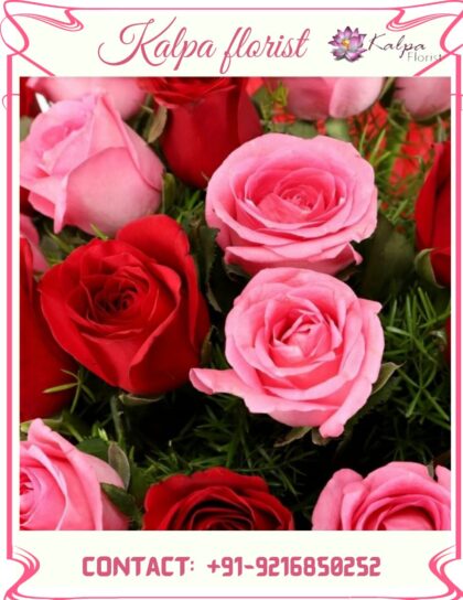 Womens Day Gifts Order Flower And Cake Online Near Me, Women's Day Gifts | Order Flowers And Cake Online Delhi | Kalpa Florist, mother's day gifts online delivery, mothers day gifts online delivery, what can i get delivered for mother's day,  flower and cake cake flour walmart, flower for cake decorating, flower cake ideas, cake flour near me, flower and cake delivery, flower cake with cupcakes, flower and butterfly cake, flower cake pan, flower cake arrangement, flower with cake delivery, flower and birthday cake delivery, order flowers and cake online delhi, online order cake and flowers in delhi, online flowers and cake delivery in delhi valentine week, valentine week days, which day valentine week, valentine week 2020, valentine week events, valentine week list, valentine week list 2020, valentine week day today, valentine week days list , valentine week 7 days, in valentine week today is which day, valentine week which day today, valentine week quotes, valentine week chocolate day, ideas for valentine week, valentine week ideas, valentine week today, valentine week of february, valentine week image, mother's day, mothers day uk, mother's day wish, mothers day cake, mothers day usa, mother day special, mother's day in india, mother day 2022, mother day out near me, mothers day date 2020, mother day england, mothers day australia, mother day gifts online, mothers day uk 2020, women's day gift, women's day gift ideas, women's valentine's day gift ideas, women's day gift ideas in office, best gift for female employees, women's day celebration gifts, woman's day gift subscription, women's day gift hampers, women's day gifts online india, women's day gift options, women's day special gift for wife, women's day gift ideas for wife, women's day gift delivery, women's day gift for friend, best women's day gift ideas flower delivery in punjab, online cake and flower delivery in punjab, flower delivery jalandhar punjab, flower delivery online amritsar punjab, flower delivery in moga punjab, online flower delivery in punjab, online delivery from usa to india, flower delivery to india from australia, flower delivery from canada,  online flower delivery from uk to india, best flowrist in jalandhar punjab, flower point in jalandhar, Women's Day Gifts | Order Flowers And Cake Online Delhi | Kalpa Florist,