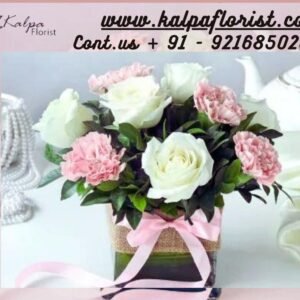 Roses For Birthday | Send Flowers To India From USA | Kalpa Florist, how to send flowers to india, how to send flowers to india from usa, best website to send flowers to india from usa, send flowers and cake to india from usa, send flowers to india from usa online, send flowers in india from usa, can i send flowers to india, how to send flowers to someone in india from usa, roses for birthday, roses on birthday, roses for a birthday, roses birthday cake, bouquet of roses for birthday, roses themed birthday party, roses with birthday wishes, roses for birthday wishes, roses for birthday gift, red roses for birthday, roses happy birthday images, yellow roses for birthday, roses birthday decorations, what to send instead of flowers for birthday, what color roses for birthday,. buy roses birthday theme, color of roses for birthday, 60 roses for 60th birthday, white roses for birthday, 30 roses for 30th birthday, beautiful roses for birthday, roses for 50th birthday, what flower represents 50th birthday, roses for her birthday, happy birthday roses quotes, roses for 60th birthday, 80 roses for 80th birthday, what color roses for 70th birthday, 50 roses for 50th birthday, roses for 70th birthday, 21 roses for 21st birthday, 60th birthday roses, roses and balloons for birthday, red roses for birthday wishes, what color roses for daughters birthday, how many roses to give for birthday, roses for 40th birthday, 7 roses for 7th birthday, birthday roses for a friend, best roses for a birthday gift, birthday roses quotes, how many roses for birthday, roses for 18th birthday, what is the best flower for birthday, best roses for birthday, roses for birthday presents, 18 roses for 18th birthday, roses for 80th birthday, send roses for birthday, roses for your birthday, what flower represents your birthday, roses for mama today's her birthday, roses for girlfriend birthday, are roses good for birthdays, red roses for birthday girl, Roses For Birthday | Send Flowers To India From USA | Kalpa Florist what color roses for 50th birthday, cake and roses for birthday, what color roses for mom's birthday, 7 roses for 7th birthday meaning, roses are red poems for 50th birthday, bunch of roses for birthday, what is a 30th birthday called, what to say for a 30th birthday You can Order From : France, Spain, Canada, Malaysia, United States, Italy, United Kingdom, Australia, New Zealand, Singapore, Germany, Kuwait, Greece, Russia, Toronto, Melbourne, Brampton, Ontario, Singapore, Spain, New York, Germany, Italy, London delivery in india, punjab