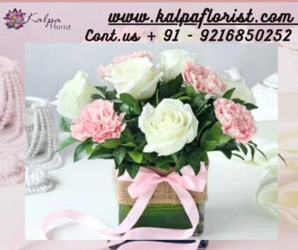 Roses For Birthday Send Flowers To India From USA Jalandhar | Kalpa Florist, how to send flowers to india, how to send flowers to india from usa, best website to send flowers to india from usa, send flowers and cake to india from usa, send flowers to india from usa online, send flowers in india from usa, can i send flowers to india, how to send flowers to someone in india from usa,  roses for birthday, roses on birthday, roses for a birthday, roses birthday cake, bouquet of roses for birthday, roses themed birthday party, roses with birthday wishes, roses for birthday wishes, roses for birthday gift, red roses for birthday, roses happy birthday images, yellow roses for birthday, roses birthday decorations, what to send instead of flowers for birthday, what color roses for birthday,. buy roses birthday theme, color of roses for birthday, 60 roses for 60th birthday, white roses for birthday, 30 roses for 30th birthday, beautiful roses for birthday, roses for 50th birthday, what flower represents 50th birthday, roses for her birthday, happy birthday roses quotes, roses for 60th birthday, 80 roses for 80th birthday, what color roses for 70th birthday, 50 roses for 50th birthday, roses for 70th birthday, 21 roses for 21st birthday, 60th birthday roses, roses and balloons for birthday, red roses for birthday wishes, what color roses for daughters birthday, how many roses to give for birthday, roses for 40th birthday, 7 roses for 7th birthday, birthday roses for a friend, best roses for a birthday gift, birthday roses quotes, how many roses for birthday, roses for 18th birthday, what is the best flower for birthday, best roses for birthday, roses for birthday presents, 18 roses for 18th birthday, roses for 80th birthday, send roses for birthday, roses for your birthday, what flower represents your birthday, roses for mama today's her birthday, roses for girlfriend birthday, are roses good for birthdays, red roses for birthday girl, Roses For Birthday | Send Flowers To India From USA | Kalpa Florist what color roses for 50th birthday, cake and roses for birthday, what color roses for mom's birthday, 7 roses for 7th birthday meaning, roses are red poems for 50th birthday, bunch of roses for birthday, what is a 30th birthday called, what to say for a 30th birthday You can Order From : France, Spain, Canada, Malaysia, United States, Italy, United Kingdom, Australia, New Zealand, Singapore, Germany, Kuwait, Greece, Russia, Toronto, Melbourne, Brampton, Ontario, Singapore, Spain, New York, Germany, Italy, London delivery in india, punjab 