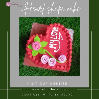 Heart Shape Cake Near Me Online Cake Delivery Jalandhar DelhiFind : Heart Shape Cake Near Me | Online Cake Delivery Jalandhar | Kalpa Florist, online cake delivery jalandhar, online cake and flower delivery in jalandhar, online cake delivery in jalandhar punjab, online birthday cake delivery in jalandhar, online cake and gifts delivery in jalandhar, best online cake delivery in jalandhar, online cake delivery in jalandhar cantt, eggless cake online delivery in jalandhar, best online cake delivery in jalandhar, online delivery of cake in jalandhar, online cake delivery in jalandhar city, online cake delivery jalandhar, online cake and flower delivery in jalandhar heart shape cake near me, heart shaped cake pan near me, how to make a heart shaped cake without a heart shaped pan, where can i buy a heart shaped cake pan, heart shaped cookie cake near me, how to make a heart shaped cake pan, heart shape cake shop near me, where can i buy a heart shaped cake, heart shape cake tin near me, Heart Shape Cake Near Me | Online Cake Delivery Jalandhar | Kalpa Florist