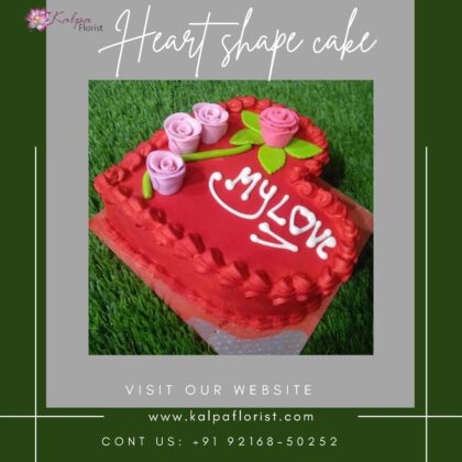 Heart Shape Cake Near Me Online Cake Delivery Jalandhar Near MeFind : Heart Shape Cake Near Me | Online Cake Delivery Jalandhar | Kalpa Florist, online cake delivery jalandhar, online cake and flower delivery in jalandhar, online cake delivery in jalandhar punjab, online birthday cake delivery in jalandhar, online cake and gifts delivery in jalandhar, best online cake delivery in jalandhar, online cake delivery in jalandhar cantt, eggless cake online delivery in jalandhar, best online cake delivery in jalandhar, online delivery of cake in jalandhar, online cake delivery in jalandhar city, online cake delivery jalandhar, online cake and flower delivery in jalandhar heart shape cake near me, heart shaped cake pan near me, how to make a heart shaped cake without a heart shaped pan, where can i buy a heart shaped cake pan, heart shaped cookie cake near me, how to make a heart shaped cake pan, heart shape cake shop near me, where can i buy a heart shaped cake, heart shape cake tin near me, Heart Shape Cake Near Me | Online Cake Delivery Jalandhar | Kalpa Florist