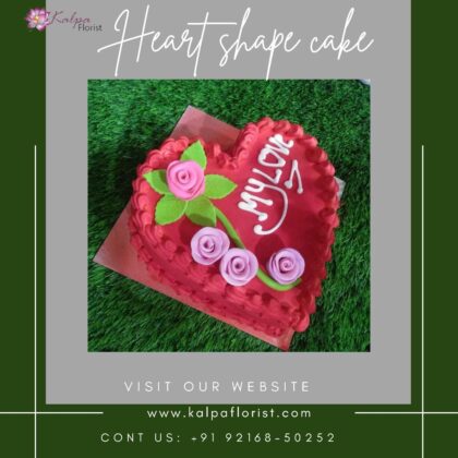 Heart Shape Cake Near Me Online Cake Delivery Jalandhar Punjab Find : Heart Shape Cake Near Me | Online Cake Delivery Jalandhar | Kalpa Florist, online cake delivery jalandhar, online cake and flower delivery in jalandhar, online cake delivery in jalandhar punjab, online birthday cake delivery in jalandhar, online cake and gifts delivery in jalandhar, best online cake delivery in jalandhar, online cake delivery in jalandhar cantt, eggless cake online delivery in jalandhar, best online cake delivery in jalandhar, online delivery of cake in jalandhar, online cake delivery in jalandhar city, online cake delivery jalandhar, online cake and flower delivery in jalandhar heart shape cake near me, heart shaped cake pan near me, how to make a heart shaped cake without a heart shaped pan, where can i buy a heart shaped cake pan, heart shaped cookie cake near me, how to make a heart shaped cake pan, heart shape cake shop near me, where can i buy a heart shaped cake, heart shape cake tin near me, Heart Shape Cake Near Me | Online Cake Delivery Jalandhar | Kalpa Florist