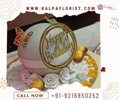 Pinata Cake Near Me | Send Birthday Cake To India | Kalpa Florist, best pinata cake near me, pinata cake with hammer near me,  piñata smash cake near me,  best pinata cake near me,  pinata cake near by me,  pinata cake in hyderabad near me,  buy pinata cake near me,  pinata cake maker near me,  how much does a half kg cake cost,  pinata cake delivery near me,  how much is half kg cake,  how much is 1kg cake,  pinata cake near me shop, where can i get pinata cake near me,  pinata cake hammer near me,  how much does 1 kg cake cost, pinata cake mould shop near me,  where can i buy a pinata cake,  pinata cake mould near me,  chocolate pinata cake near me,  designer Pinata Cake Near Me | Send Birthday Cake To India | Kalpa Florist,  pinata cake with hammer price near me,  pinata cake with hammer shop near me,  what is the cost of 1 kg cake,  pinata cake in bangalore near me,  pinata ball cake near me,  how much does 1kg cake cost, pinata cake order online near me, pinata cake online near me, pinata birthday cake near me, rainbow pinata cake near me,  where to buy pinata cake near me Order From : France, Spain, Canada, Malaysia, United States, Italy, United Kingdom, Australia, New Zealand, Singapore, Germany, Kuwait, Greece, Russia, Toronto, Melbourne, Brampton, Ontario, Singapore, Spain, New York, Germany, Italy, London, uk, usa, send to india 