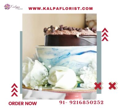 Pinata Cake Near Me | Kalpa Florist, best pinata cake near me, pinata cake with hammer near me, piñata smash cake near me, chocolate pinata cake near me, pinata cake hammer near me, pinata cake order online near me, where can i buy a pinata cake, pinata cake near by me, what is the cost of 1kg cake, pinata cake mould shop near me, buy pinata cake near me, how much is 1 kg cake, pinata cake maker near me, pinata cake near me price, pinata cake order near me, pinata cake in hyderabad near me, buy pinata cake jalandhar, pinata cake with hammer price near me, where can i get pinata cake near me, where to get pinata cake near me, pinata ball cake near me, pinata cake ludhiana, pinata cake with hammer shop near me, heart pinata cake near me, where to buy pinata cake near me, Pinata Cake Near Me | Kalpa Florist,