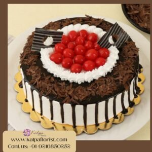 Black Forest Cake | Send Cake In India | Kalpa Florist, send cake in india, send cake to india, send cake to india from usa, how to send a cake online for birthday, how to send cake in india, send cake to india hyderabad, send cake to india from canada, want to send cake for birthday in india, how to send birthday cake to india, send birthday cake and flowers online in india, how to deliver cake in canada from india, how to order cake online in india, how to deliver cake in delhi, send cake anywhere in india, how to send cake from india to usa, how can i send cake to india, how to send birthday cake online in india, to send flowers and cake in india, send cake to mumbai india, cake delivery in bangalore india, best send cake to india from uk, online cake delivery to usa from india, which cake is good for birthday, send cake to india from australia, online cake delivery in india same day, send cake to india today, send cake in usa from india, online cake delivery in india ahmedabad, send cake to ludhiana india, online cake delivery in india lucknow, cake delivery in goa india, online cake delivery in india chennai, online cake delivery to india from canada, how to order cake to india, Black Forest Cake | Send Cake In India | Kalpa Florist,