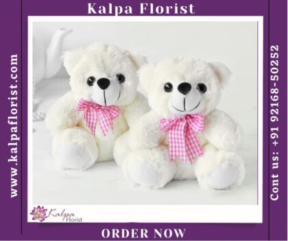 2 Teddy Bears with Chocolates in Basket | Send Gifts To India | Kalpa Florist, send gifts to india, send gifts in india, to send gifts to india, send gifts to india from usa, how to send gifts to india from usa, send gifts to india online, send gifts from usa to india, send diwali gifts to india, how to send gifts to india, send mother's day gifts to india, send gifts to india from usa online, send gifts to india online from usa, send birthday gifts to india from usa, send rakhi gifts to india, how to send gifts to india, send gifts to india same day delivery, send wedding gifts to india, send gifts to india from usa same day delivery, send gifts to india hyderabad, how can i send gifts to india, Order From : United Kingdom, Australia, New Zealand, Singapore, Germany, Kuwait, Greece, Russia, Toronto, Melbourne, Brampton, Ontario, Singapore, Spain, New York, Germany, Italy, London, Toronto, Europe,  Spain, Italy