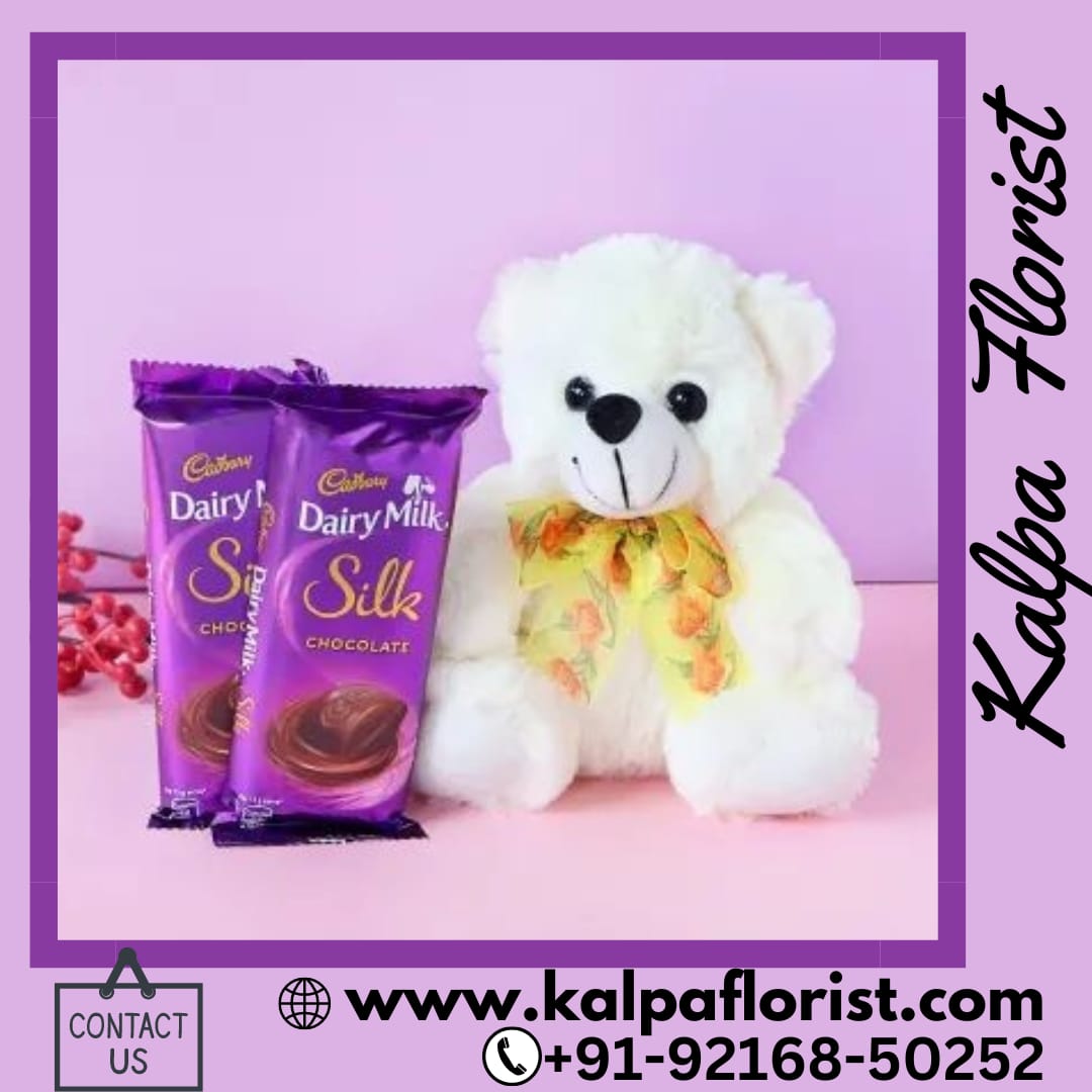 Teddy And Chocolates ( Online Gift Delivery In Ludhiana )