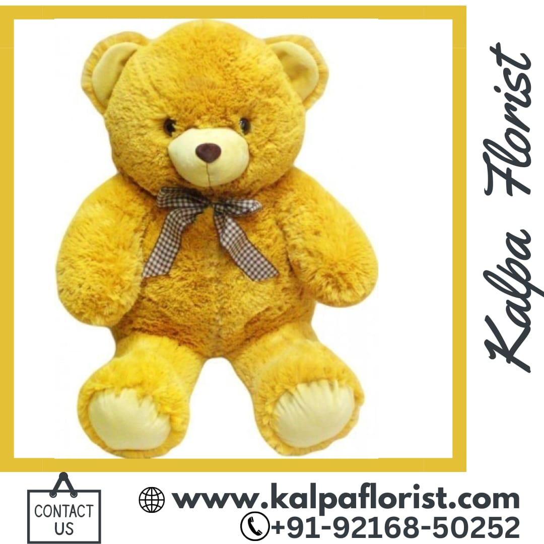 Teddy Bear For Girlfriend ( Order Birthday Gifts Online )